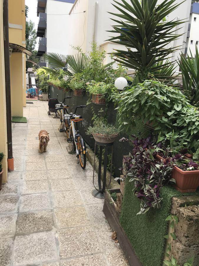 Villa Grazia Rimini Exterior photo